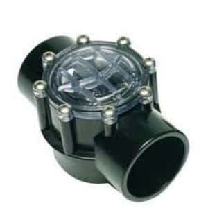 2" non return valve