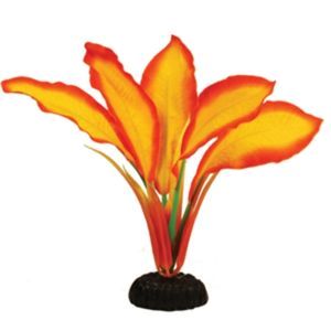 Corymbosa Sunset Silk Aquarium Plant