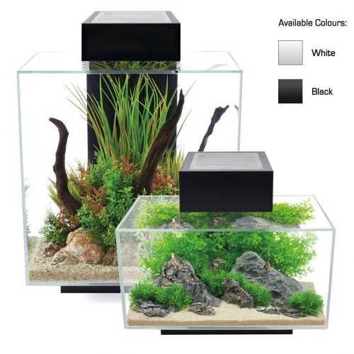 fluval edge aquarium kit with lighting and filtration