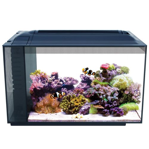 fluval sea marine evo 57 litre saltwater nano aquarium kit