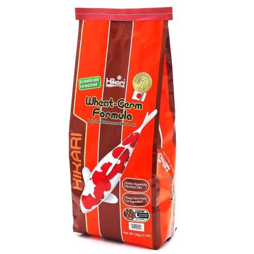 Hikari Wheatgerm Koi Food pond fish coldwater