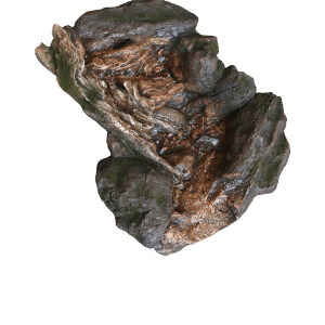 Bermuda Watercourses - Stream