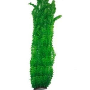 XL Plant Green 95cm Type 1