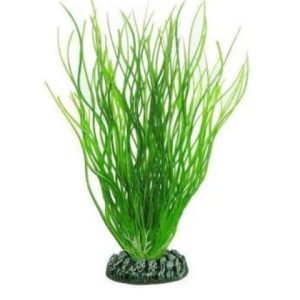 Green Plastic Plant