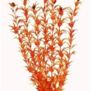 Orange Plastic Plant