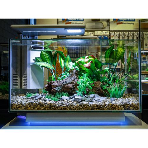 Superfish Quadro 40 Multi Colour Aquarium